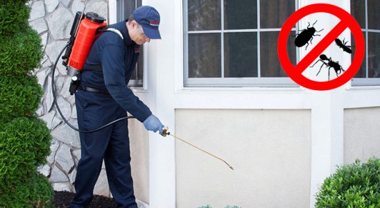 Kumluca Akrep İlaçlama böcek ilaçlama ve haşere kontrolü — ilaclama-tr.com